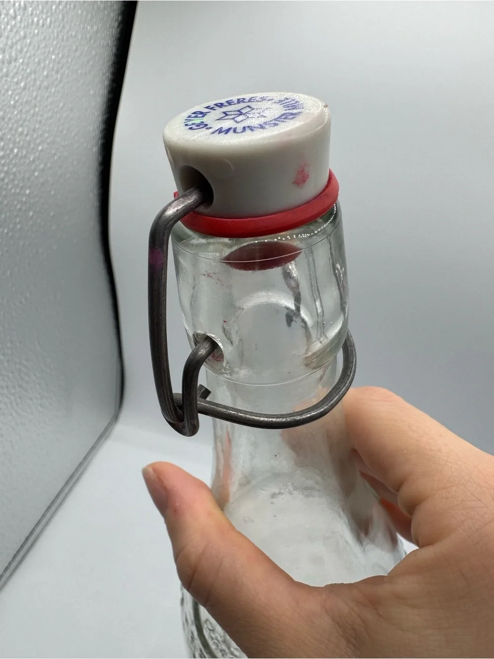 2 Swing Top Glass Bottles, Flip Top Glass Bottle with Airtight Lid-Geyer Freres